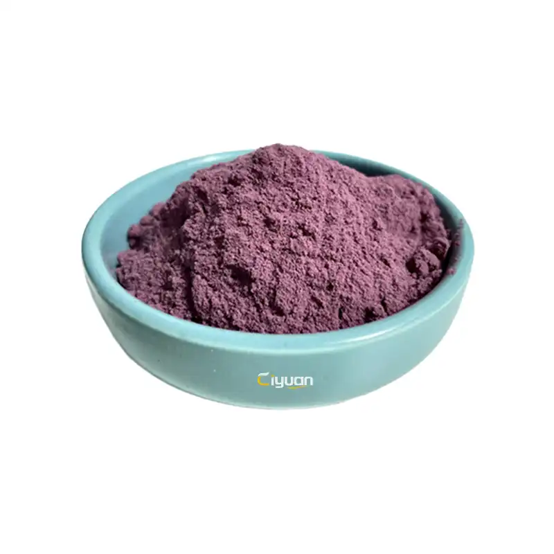 Elderberry Extract Supplement